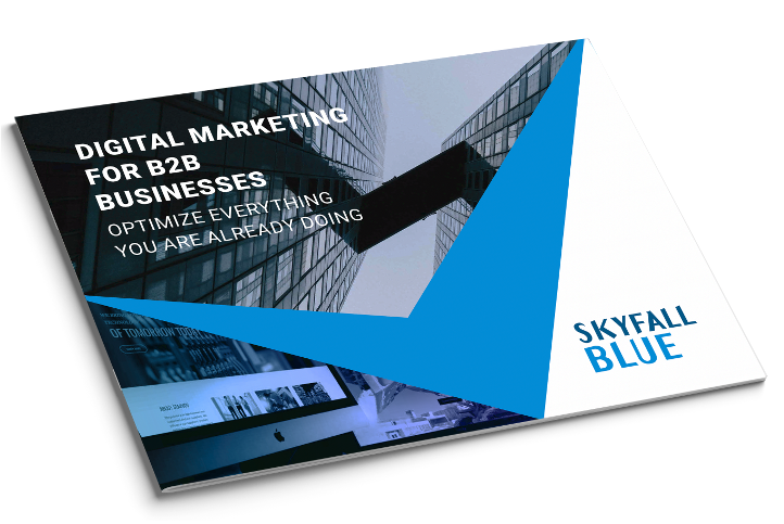 B2B Digital Marketing Services ebook from Skyfall Blue